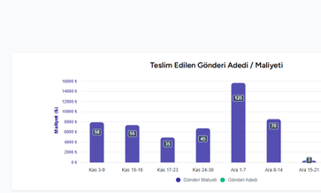 Gelişmiş Raporlama